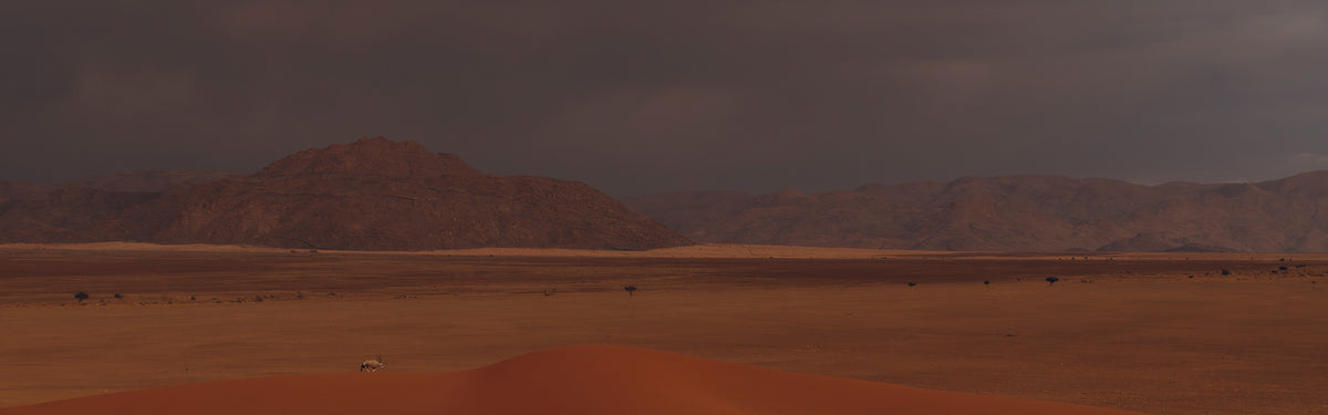from Namibia by Charlotte Lapalus