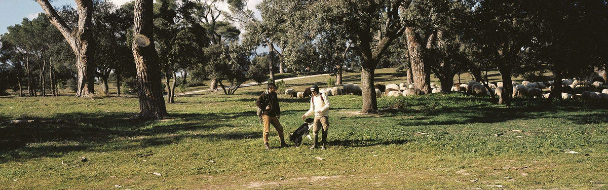 an afternoon with fernando dory of inland