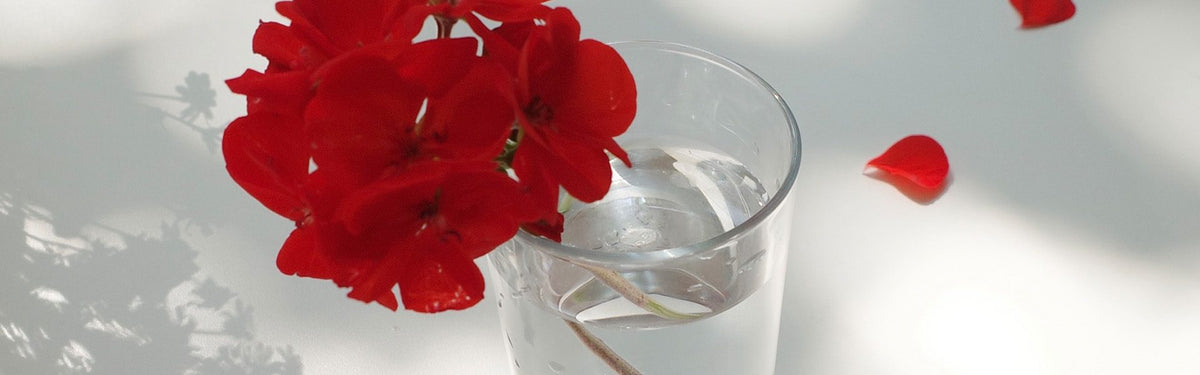 colour library: summer flame