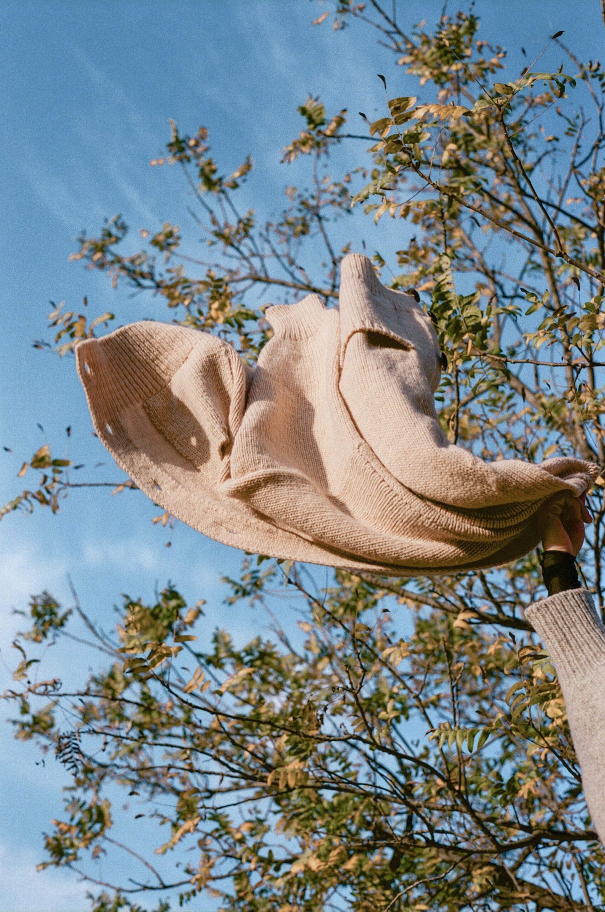 winter in Los Angeles