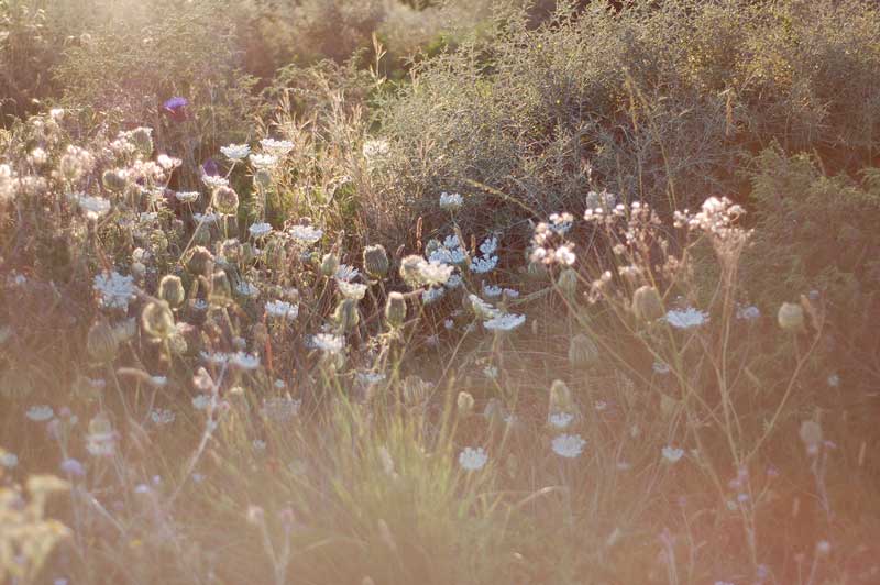 babaa_jumper_summer_3