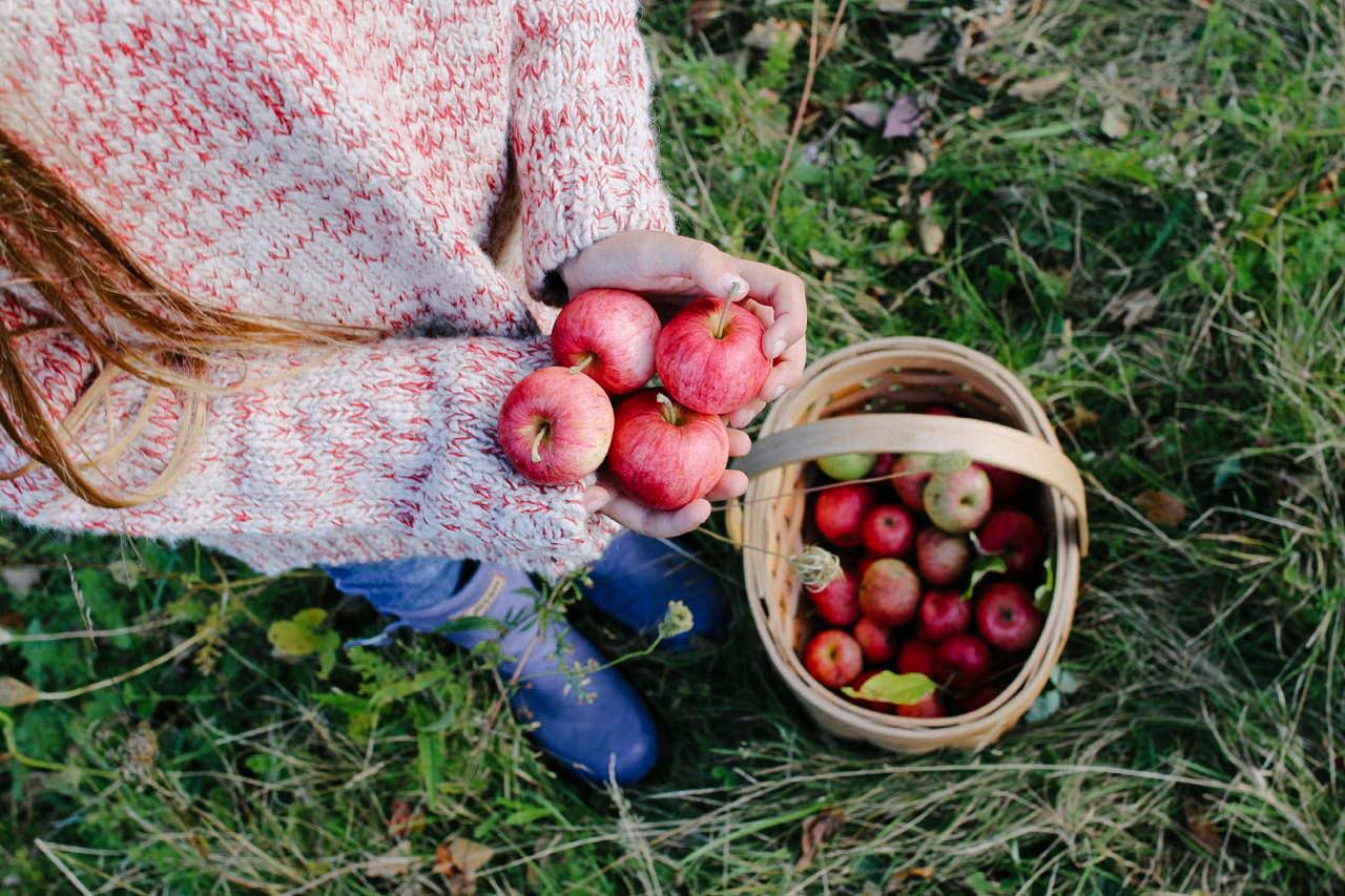 living-in-babaa-by-kirsten-rickert-elle-apples-detail