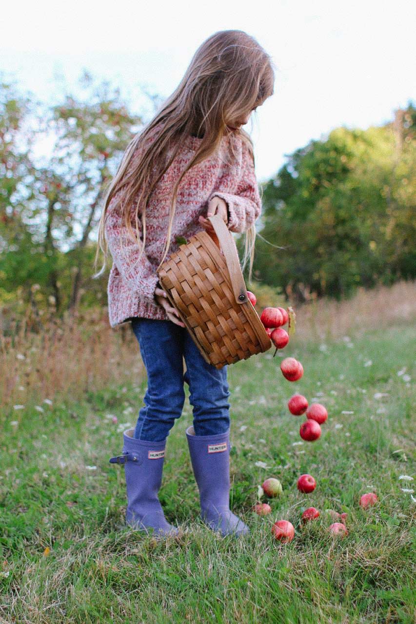 living-in-babaa-by-kirsten-rickert-elle-apples