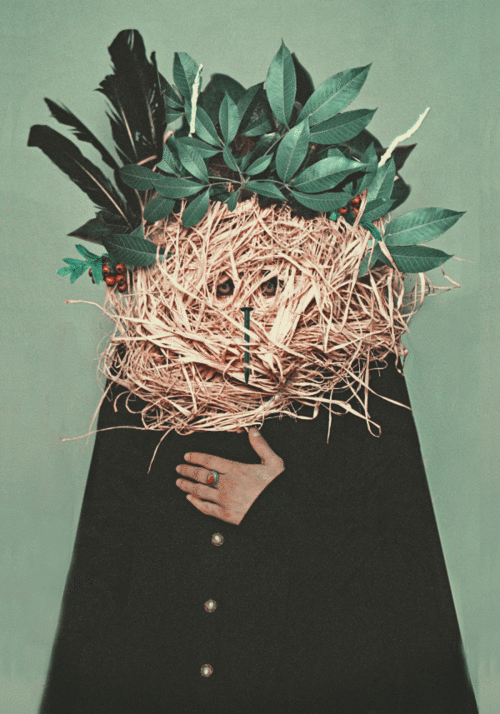 november-seasonal-notes-fedor-design