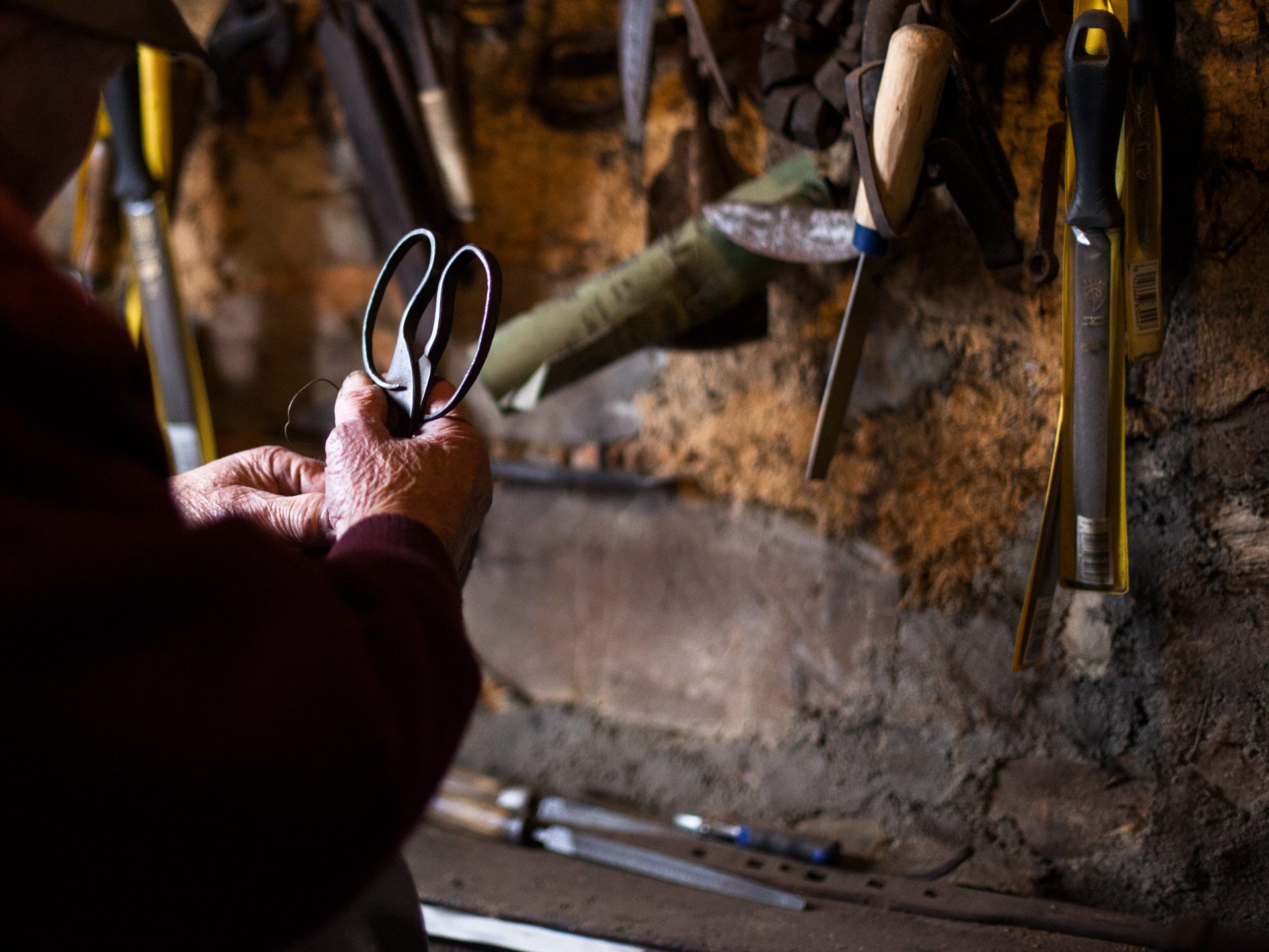 making-babaa-shearing-14
