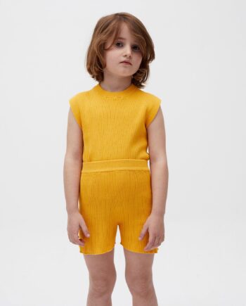 top kids no39  alphonso mango