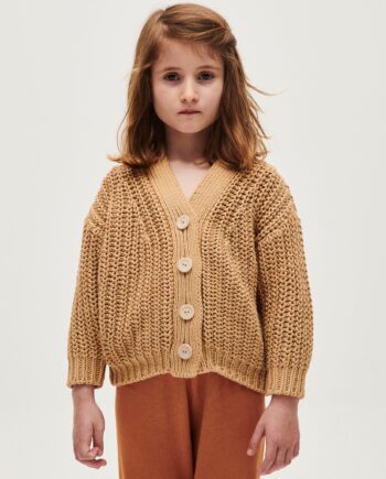cardigan kids no18  chicory root