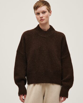 jumper no15 earth