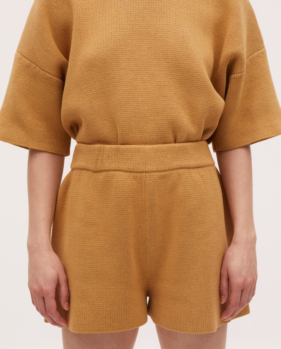 shorts-no35-chicory-root