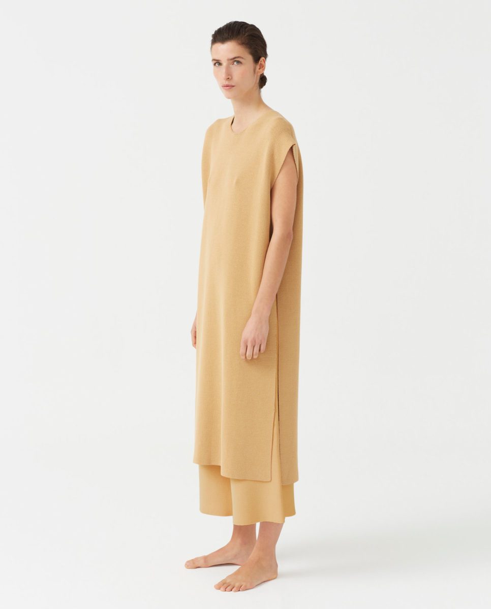 cape-woman-no35-chicory-root-1