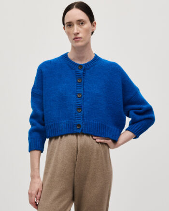cardigan no61 winterskies